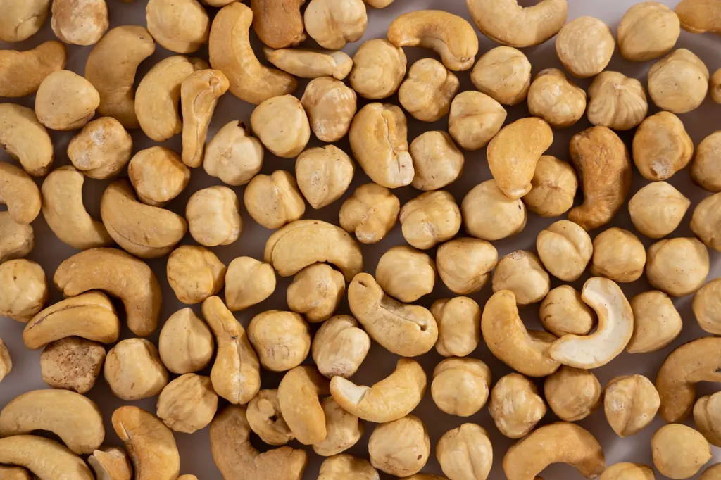 A comparison display showing safe plain cashews on one side and dangerous salted, flavored, and mixed nuts marked with warning symbols on the other side