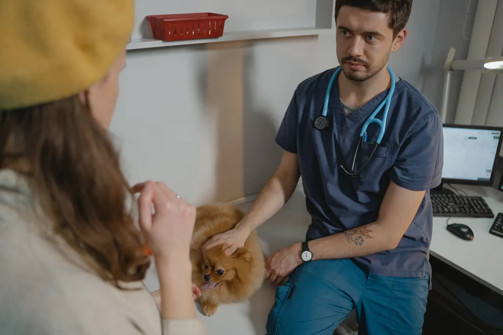 A veterinary emergency room setting showing an X-ray image of a dog's digestive system with visible bone fragments and a concerned veterinarian examining the radiograph