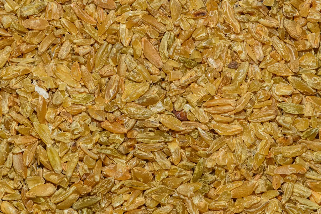 A close-up photograph of golden nutritional yeast flakes in a wooden bowl next to a happy golden retriever dog