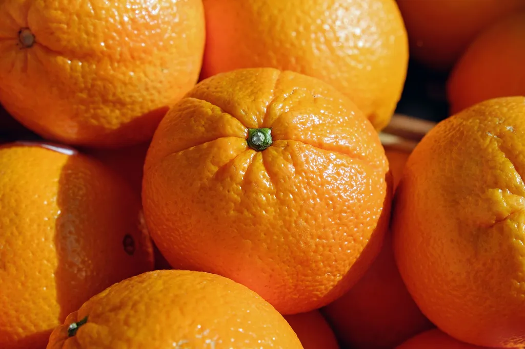 Can dogs eat oranges?