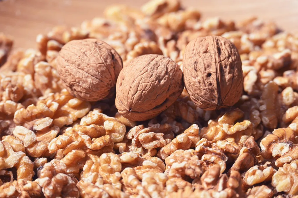 Can dogs eat walnuts?
