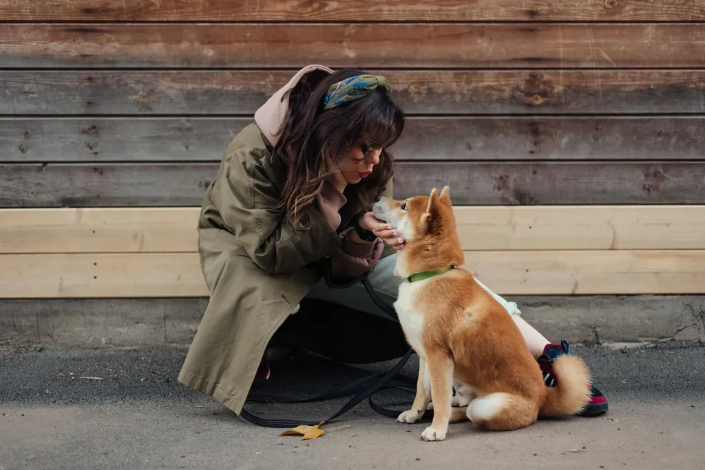 A trainer demonstrating positive reinforcement with a timid rescue dog, showing the dog looking at a distant person while receiving treats, illustrating counter-conditioning technique
