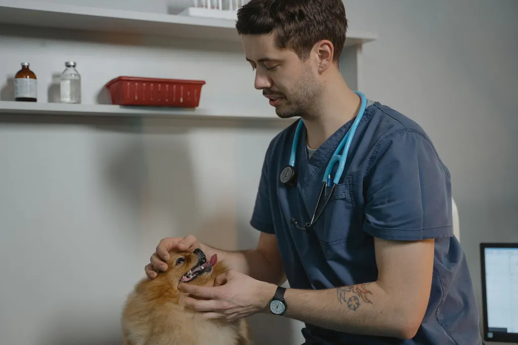 A veterinarian examining a healthy dog in a bright clinic room, with charts showing proper canine nutrition on the wall behind them