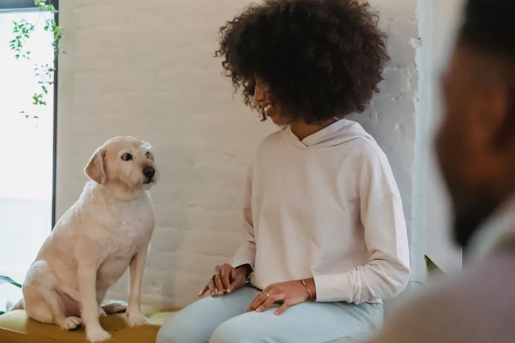 A patient dog owner sitting calmly in a chair while a border collie on a leash naturally lies down on a comfortable mat, demonstrating the initial training setup