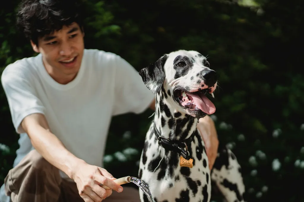 A dog owner gently soaking their Labrador's front paw in a shallow blue basin filled with diluted antiseptic solution while the dog sits calmly on a towel
