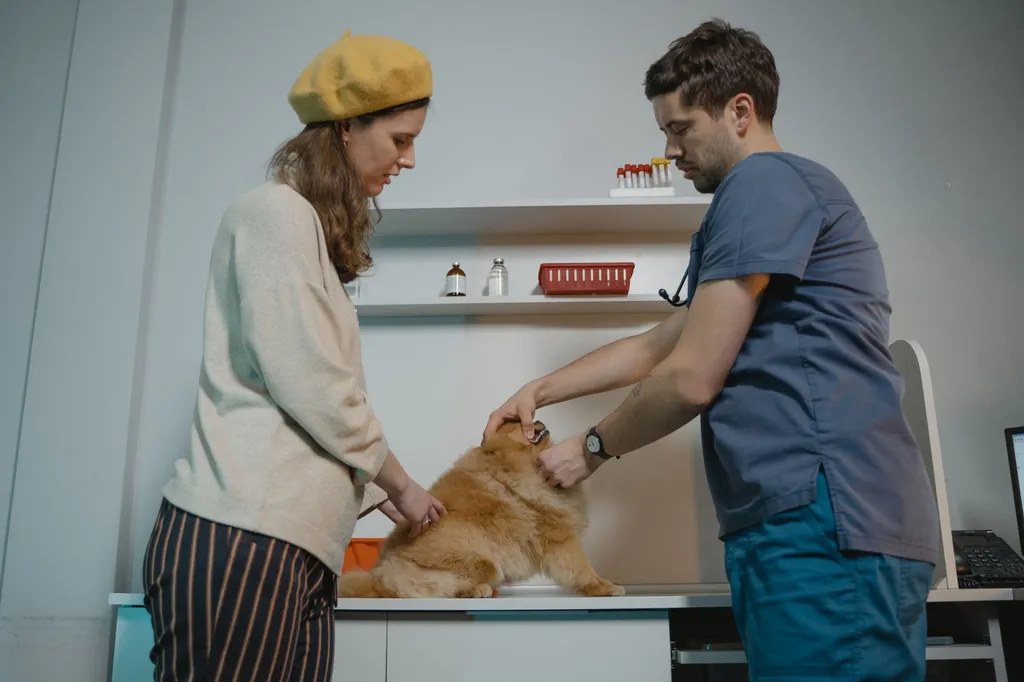 A veterinarian in a clinic showing a pet owner proper safety protocols while holding an essential oil bottle and explaining precautions