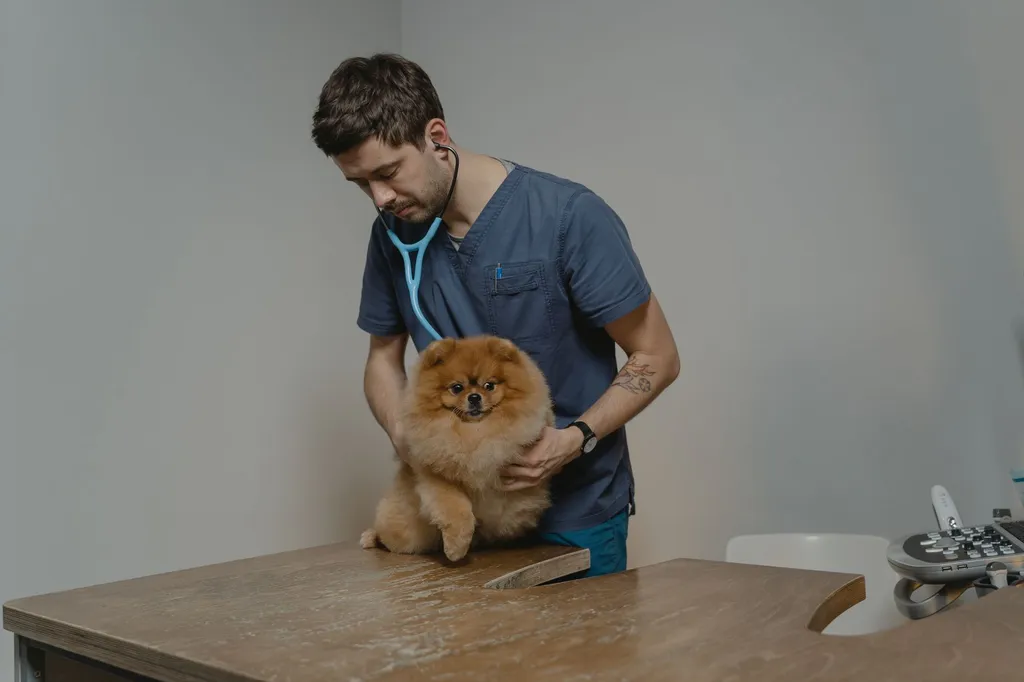 A veterinary nutritionist calculating caloric needs for a golden retriever using a calculator, with charts showing DER formulas and treat portions on a table