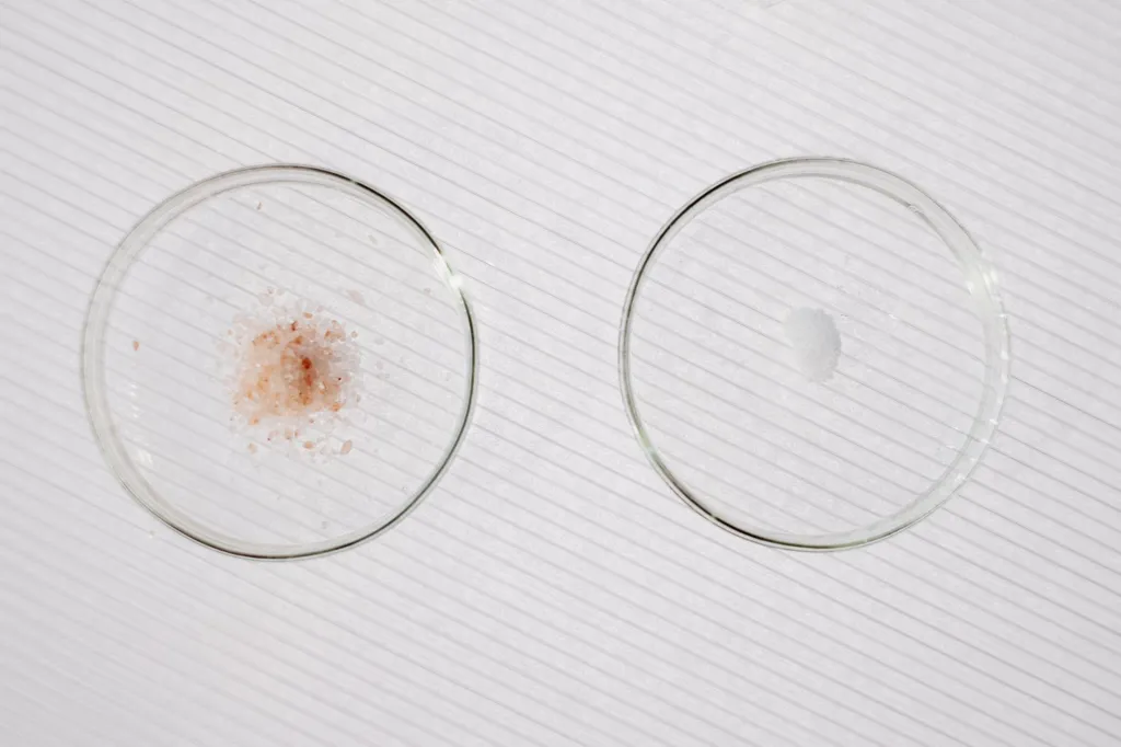Close-up comparison showing normal clear dog eye discharge versus abnormal thick yellow-green discharge indicating bacterial infection requiring veterinary care