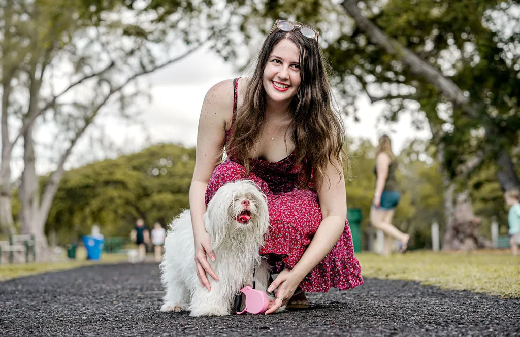 A fluffy white maltese dog being gently examined showing common tear staining below eyes with owner using cotton ball to clean the area