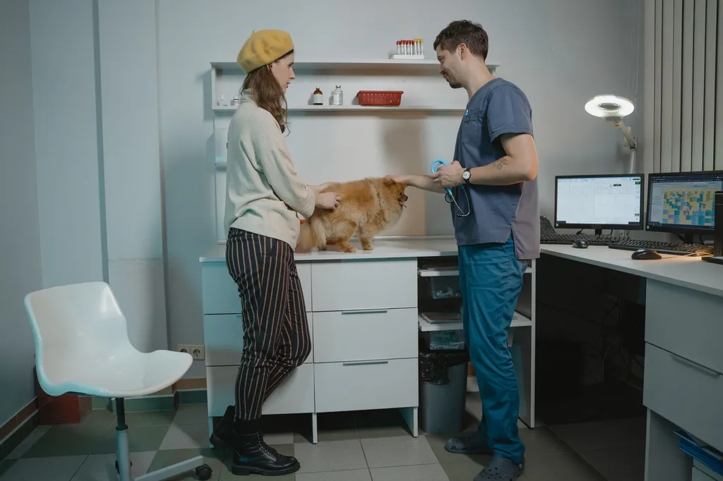 A concerned dog owner examining their dog's rear end while the dog sits on an examination table at a veterinary clinic
